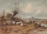 Harrison Smythe, Untitled - Sheep with Windmill in Distance, watercolour on paper