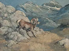 Robert A. Wyatt, Untitled - Big Horn Sheep, High Alpine, oil on canvas