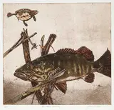 Jack Lee Cowin, Red Eared Slider #A.P.