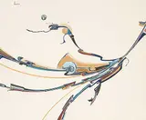 Alex Janvier, Canoe
