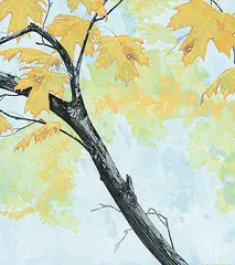 E. Alan Garrett, Untitled - Autumn Leaves, 1990, watercolour on paper
