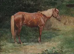 Violet Haig, Untitled - Pinto, oil on canvas