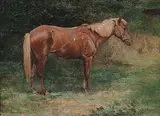 Violet Haig, Untitled - Pinto, oil on canvas