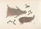 Kananginak Pootoogook, Skinned Caribou #9/50