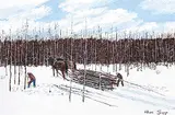 Allen Sapp, Busy Cutting Wood