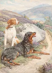 Basil Bradley, Untitled - Gordon Setter and Pointer, watercolour on paper