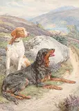 Basil Bradley, Untitled - Gordon Setter and Pointer, watercolour on paper