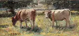 Harry Fidler, Untitled - Summer Pasture