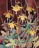 Annora Brown, Untitled - Yellow Columbines