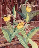 Annora Brown, Untitled - Yellow Lady's Slipper