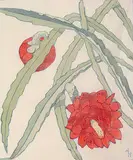 Alison Houston Lockerbie Newton, Cactus #21/50, colour wood block on paper