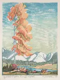 Margaret Shelton, Yellow Poplar, Banff #150/200, 1952, lino block in six colours on paper