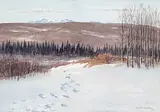 John Davenall Turner, Untitled - Path Through the Snow