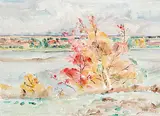 Dorothy Knowles, Changing Colours