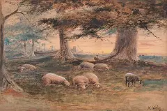 Marmaduke Matthews, Untitled - Sheep at Rest, 1904, watercolour on paper