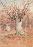Frederick Arthur Verner, Burnham Beeches