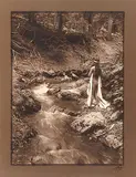 Edward S. Curtis, The Maid of Dreams, 1909, toned silver photograph on paper