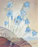 Annora Brown, Untitled - Harebells