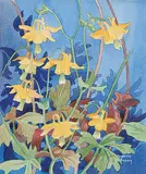 Annora Brown, Untitled - Columbine