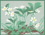 A. J. Casson, Untitled - Wild Strawberries, colour silkscreen on paper