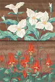 A. J. Casson, Untitled - Trillium/Columbine