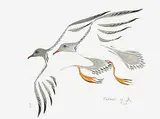 Edward Cobiness, Black Tern, 1978, watercolour on paper