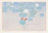 Walter J. Phillips, Water Lilies #162, 1927, colour wood block on paper