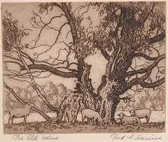 Frederick Stanley Haines, The Old Willow, etching on paper
