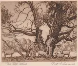 Frederick Stanley Haines, The Old Willow, etching on paper