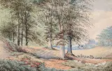 Thomas Mower Martin, Untitled - Wooded Landscape with Sheep
