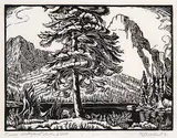 Margaret Shelton, Fir on Waterfowl Lake #67/100, 1949, lino block on paper