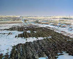 William H. Webb, Furrows and Fence Line, 1991, acrylic on canvas