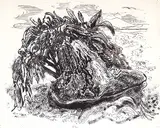 Arthur Lismer, Untitled - Beach Scene, ink on paper