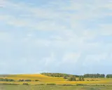William James Parker, Canola Fields, 1990, oil on canvas board