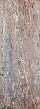 Larry Poons, Ores