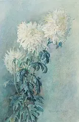 Alice Cook Ashley, Untitled - Chrysanthemums, 1907, watercolour on paper