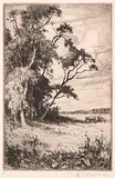 Cyril Henry Barraud, Untitled - Manitoba Landscape #11, 1913, etching on paper