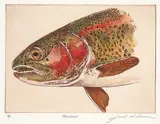 Jack Lee Cowin, Rainbow #A/P