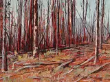 Mannie Gonsalves, After the Fire, Kootenay Nat. Park, Storm Mountain