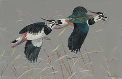 Ralston Gudgeon, Green Plover in Flight, watercolour on paper