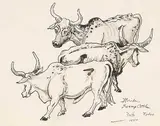 Illingworth Kerr, Florida Swamp Cattle Rodeo