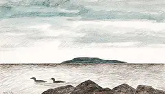 Thoreau MacDonald, Black Ducks, 1978, watercolour on paper