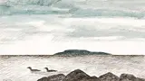 Thoreau MacDonald, Black Ducks, 1978, watercolour on paper