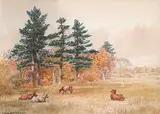 Thomas Mower Martin, Untitled - Grazing Cattle