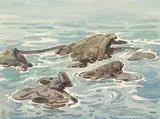 William Maltman, Untitled - Swirling Tide, 1969, watercolour on paper