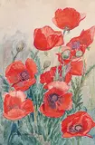 Alexander Johnston Musgrove, Poppies, 1942, watercolour on paper