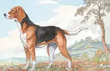 Regolo Ricci, Hound in a Landscape, 1994, watercolour on paper