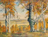 Hubert Valentine Fanshaw, The Birch on Riding Mountain, oil on canvas