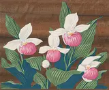 A. J. Casson, Untitled - Wild Orchids