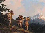 Karl E. Wood, Wild Band
